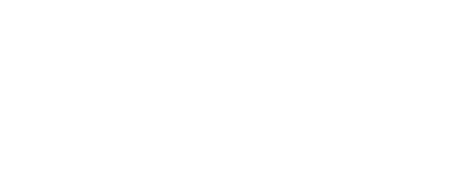Shropshire AI